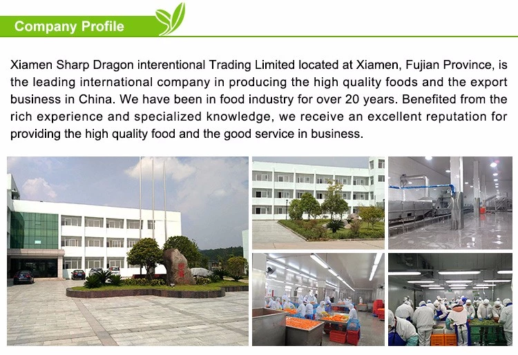 XMSDfood frozen fruit supplier supporting global B2B buyers