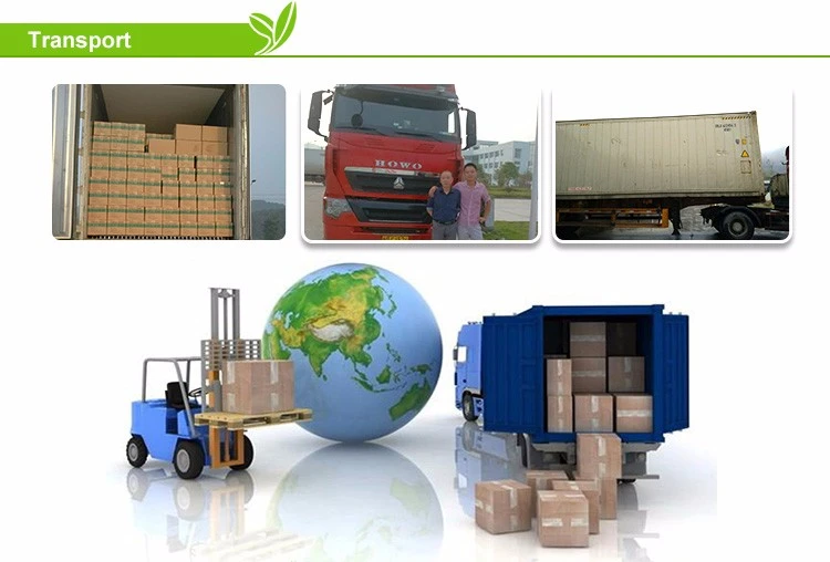 Vacuum fried pea chips transportation and export delivery support