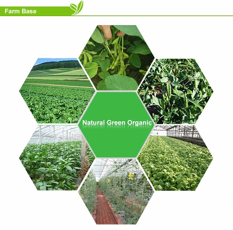 Sugar snap pea raw material base reference for vegetable chips supply