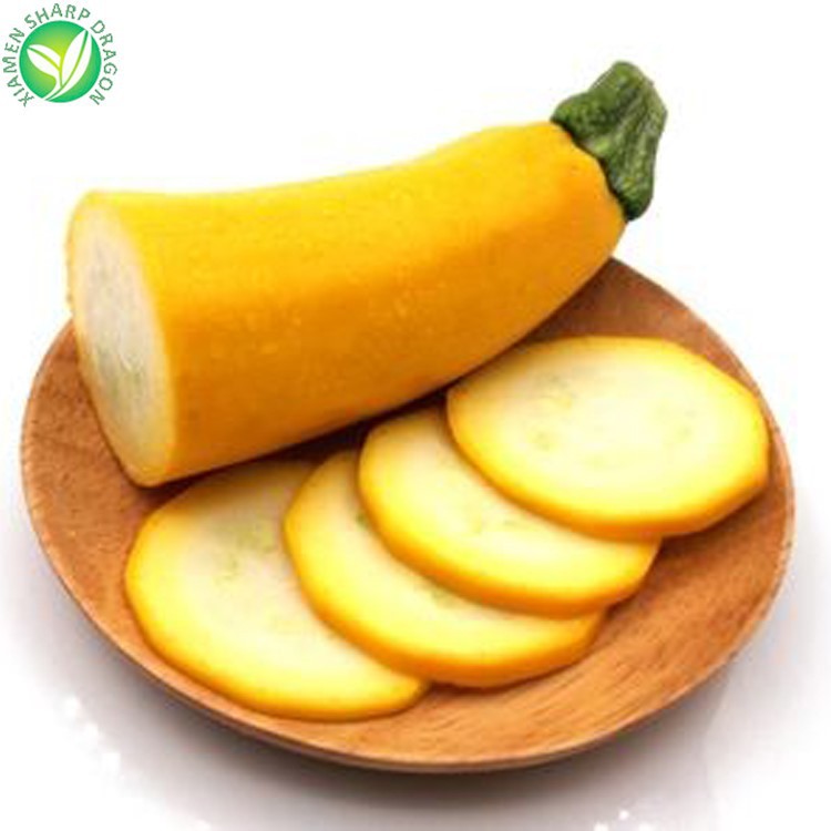 export wholesale zucchini export wholesale zucchini