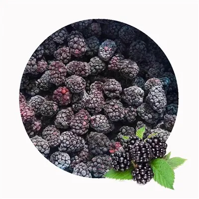 IQF Frozen Blackberry -toimittaja irtotavaratukkumyyntiin
