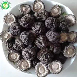 Kuivatut kokonaiset shiitake-sienet