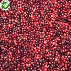Lingonberry -hedelmäkausi