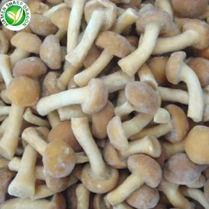 Nameko-sienen viljely