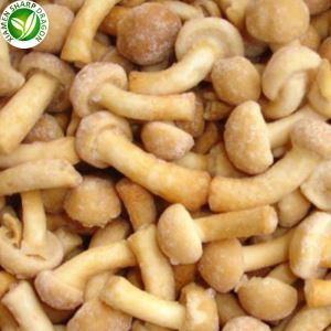 Nameko sienen hinta