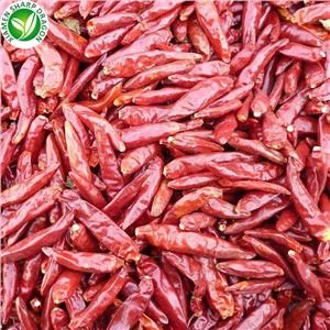 Korkealaatuinen mausteinen kuivattu punainen paprika